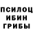 Псилоцибиновые грибы MAGIC MUSHROOMS Dari Lyubina
