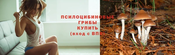 a pvp Алексеевка
